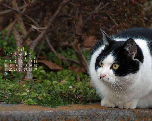 402407 (a): :1280x1024